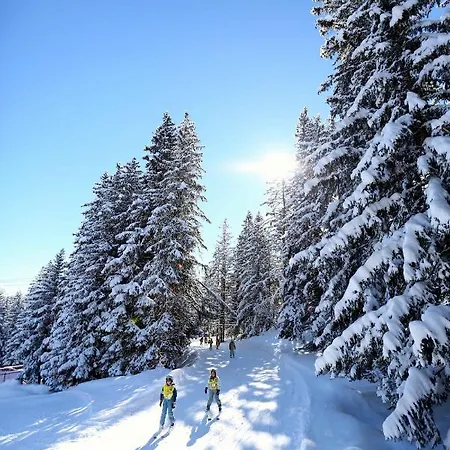 Village Club Mileade 3* Куршевель